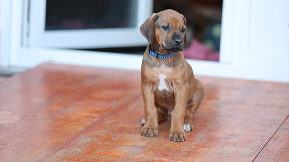 07.04.2025 - M-Wurf Bild 2