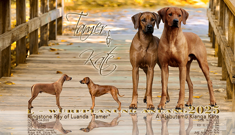 Kate&Tamer
